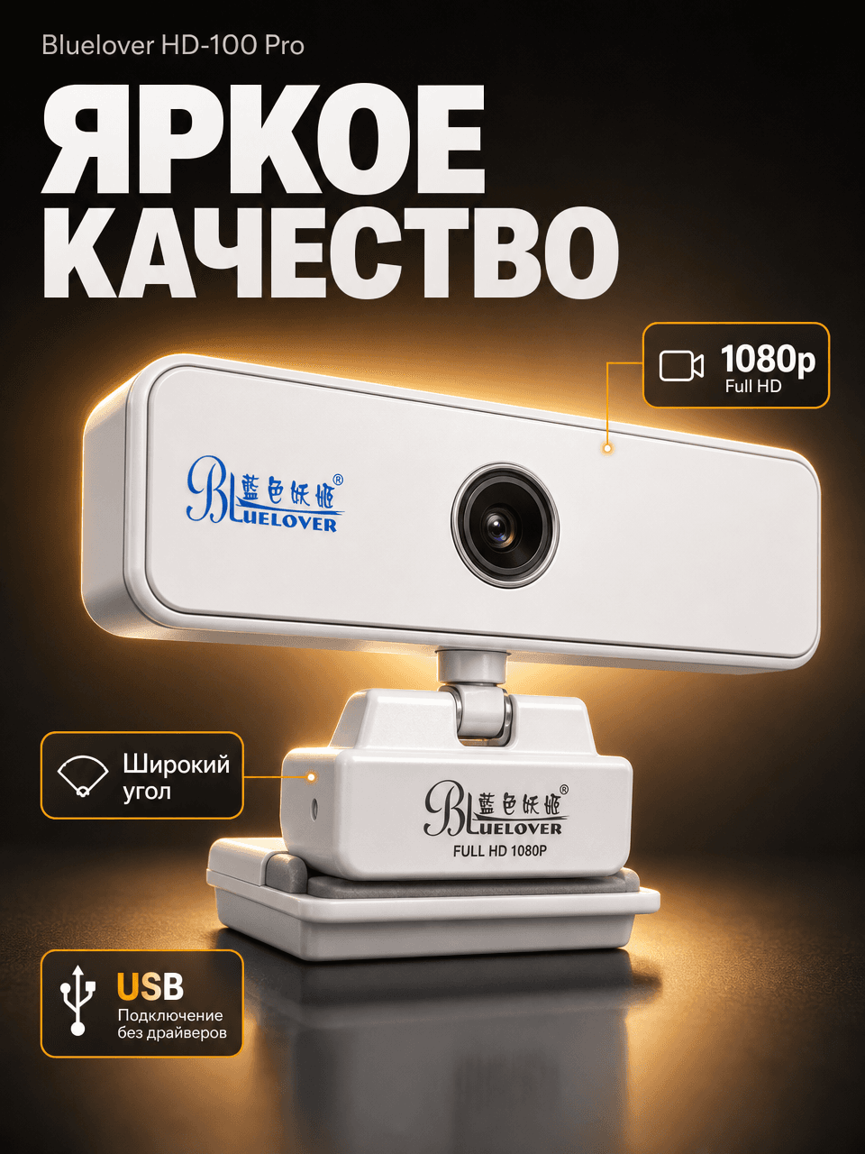 Webcam HD-100 pro